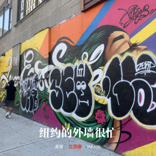 155 |美国| 纽约的外墙很忙 - 文化资本、波普、MoMA和快乐老家的涂鸦