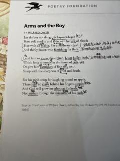 Arms and the Boy