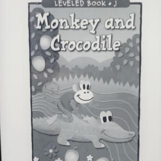 Monkey and Crocodile