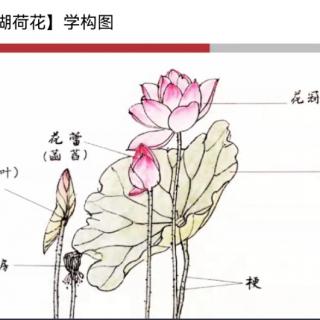 尚书 虞书 皋陶谟第四