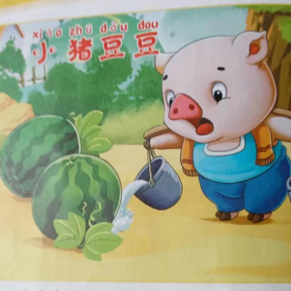 小猪豆豆