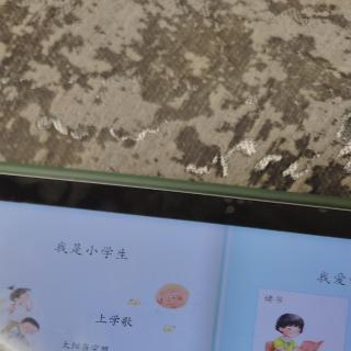 我是小学生