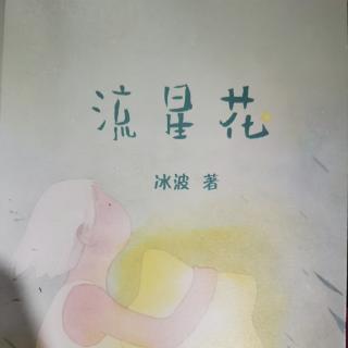 《流星花》之《大脚板鸭子二》