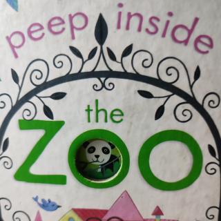   peep inside the zoo