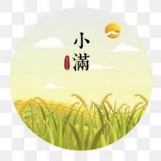 天天故事汇～爱在浅夏，小满大美！5.22