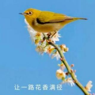 《不是所有人都能看到美》节选