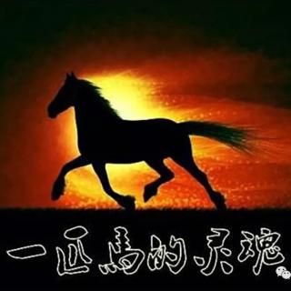 《一匹马的灵魂》朱成玉