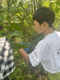 44.像渴望求生一样渴望成功