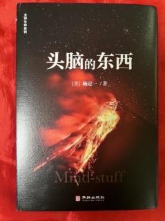 《头脑的东西》10  一切，最多只是信息