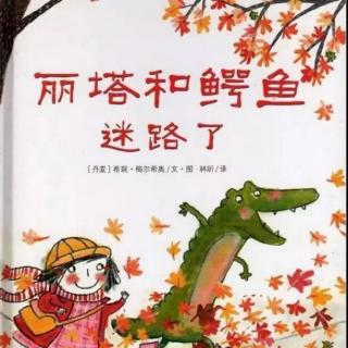 丽塔和鳄鱼🐊迷路了