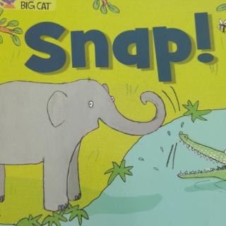 Big Cat-Snap！