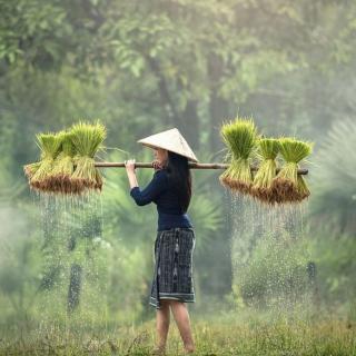 《听雨》阿紫·嘉和