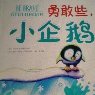 勇敢些小企鹅——经典绘本