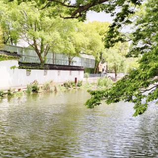 《学会等待》汪国真    诵读  徐公