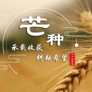 牛丽君诵读【二十四节气系列小知识】芒种 文字整理：牛丽君