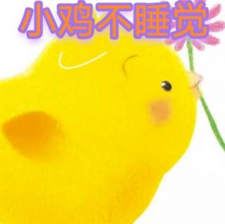 139期《小鸡🐥不睡觉》