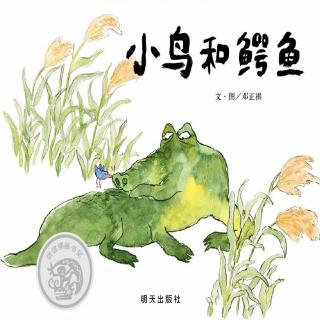 卡蒙加禹都花园幼儿园张老师——《小鸟和鳄鱼》