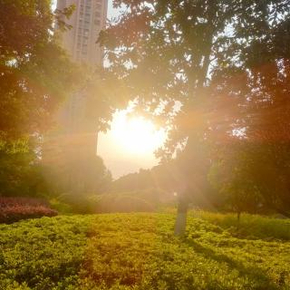 巴夏：你对财富的定义，决定你的财富。