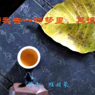 《带我去一场梦里，再读旧事》作者：程羽蒙 诵读：大连伙计