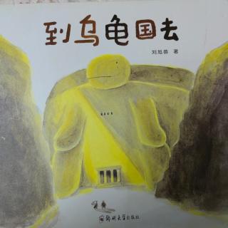 到乌龟国去