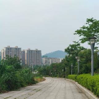 «面对致佳送的山胡椒»作者:郭友娣