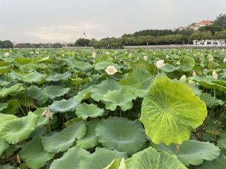 学会给自己看病