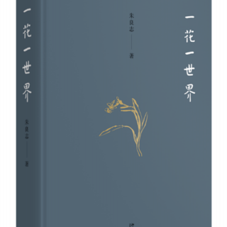 《一花一世界》作为“非历史”的艺术（六）