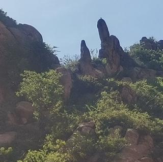 《素色年华永恒的风景》文/汤文莱.诵/葆青