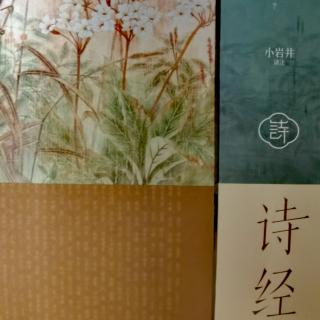 《诗经》: 风（召南）--鹊巢等十二首（配译文）