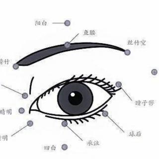 阴阳恒久远 内针永流传85第一段