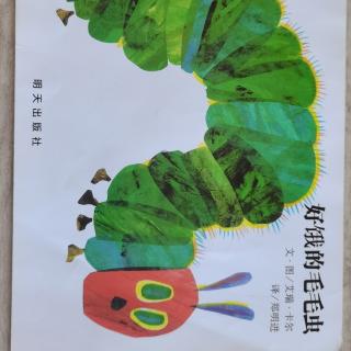 好饿的毛毛虫—幼专附属幼儿园小一班