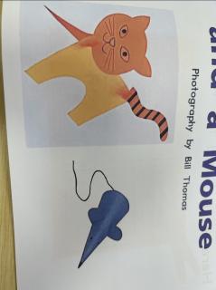 Making a cat and a mouse
