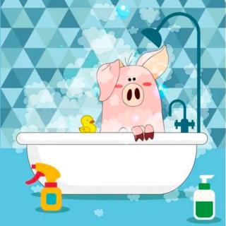 点点猪洗澡