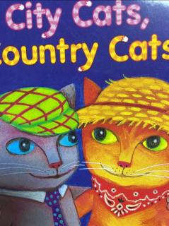 city cats, country cats