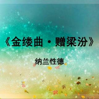 《金缕曲 赠梁汾》纳兰性德