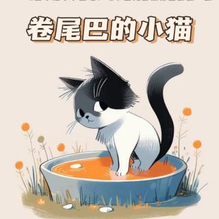 卷尾巴的小猫🐈