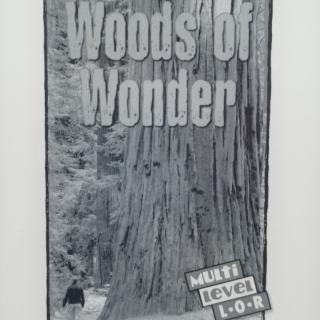 Woods of Wonder