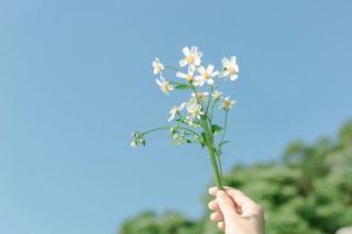 荷韵南塘 ‖《让心多吹吹风》 朗诵: 苡子