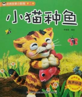 小猫种鱼