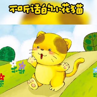 不听话的小花猫