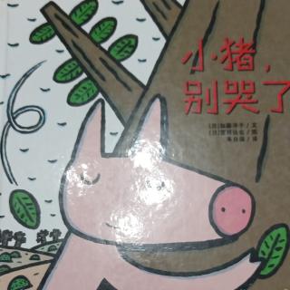 小猪，别哭了