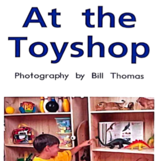 At the toy shop重点摘要