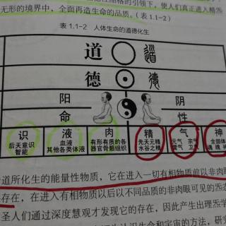 理炁，理形科学—慧与智（1）