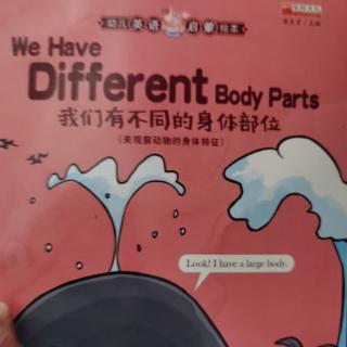 打卡45 We have different body parts