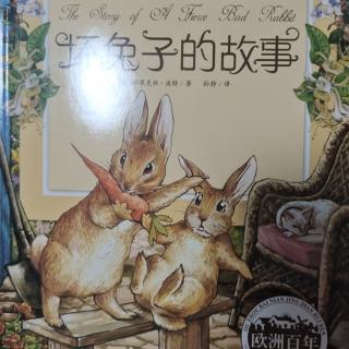 坏兔子🐰的故事
