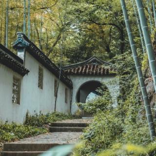 《题破山寺后禅院》（唐）常建