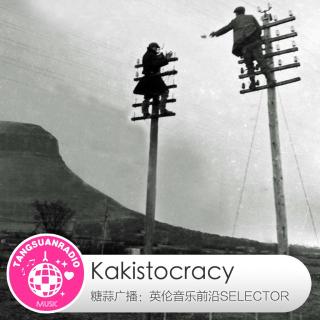 Kakistocracy·糖蒜爱音乐之The Selector