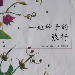 一粒种子的旅行