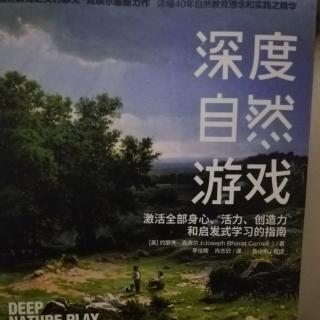 《深度自然游戏》中外