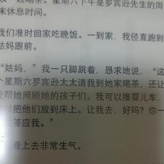 丛林的秘密20